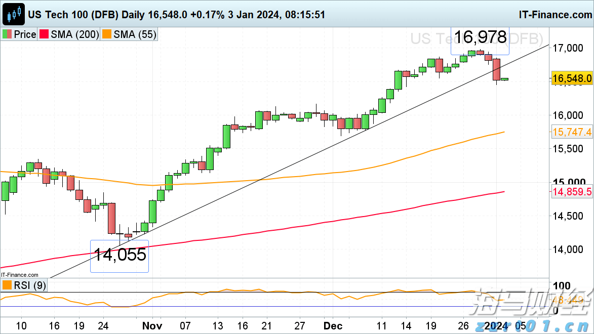 甜蜜预告：高州龙眼 元气入“厦”