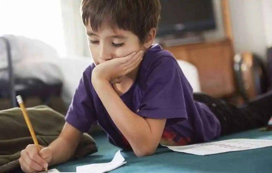 18 万！高州百年龙眼母树“第一摘”引疯抢