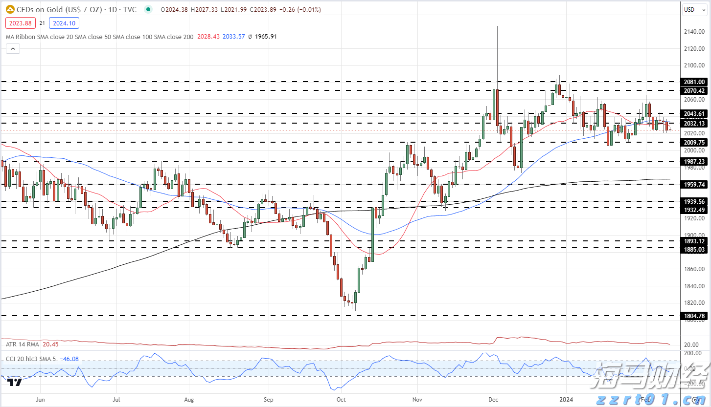 通讯丨花椰菜种子见证中巴农业合作