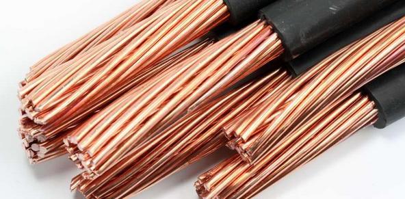 “草木藏古韵 染蛋绘端午”端午主题活动举行