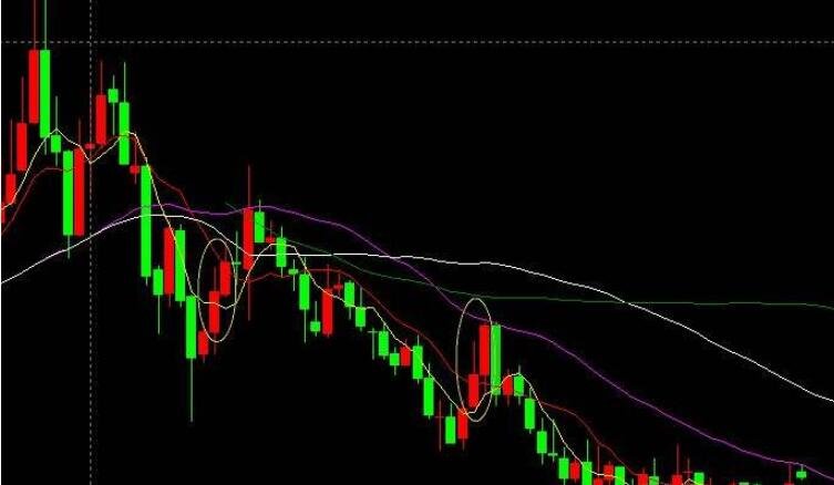 2025年省文旅促消费主题年活动在泉启动