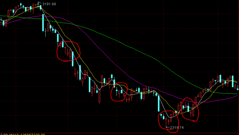 1000辆“浪漫粉”共享单车亮相珠海！还有这个贴心设计→