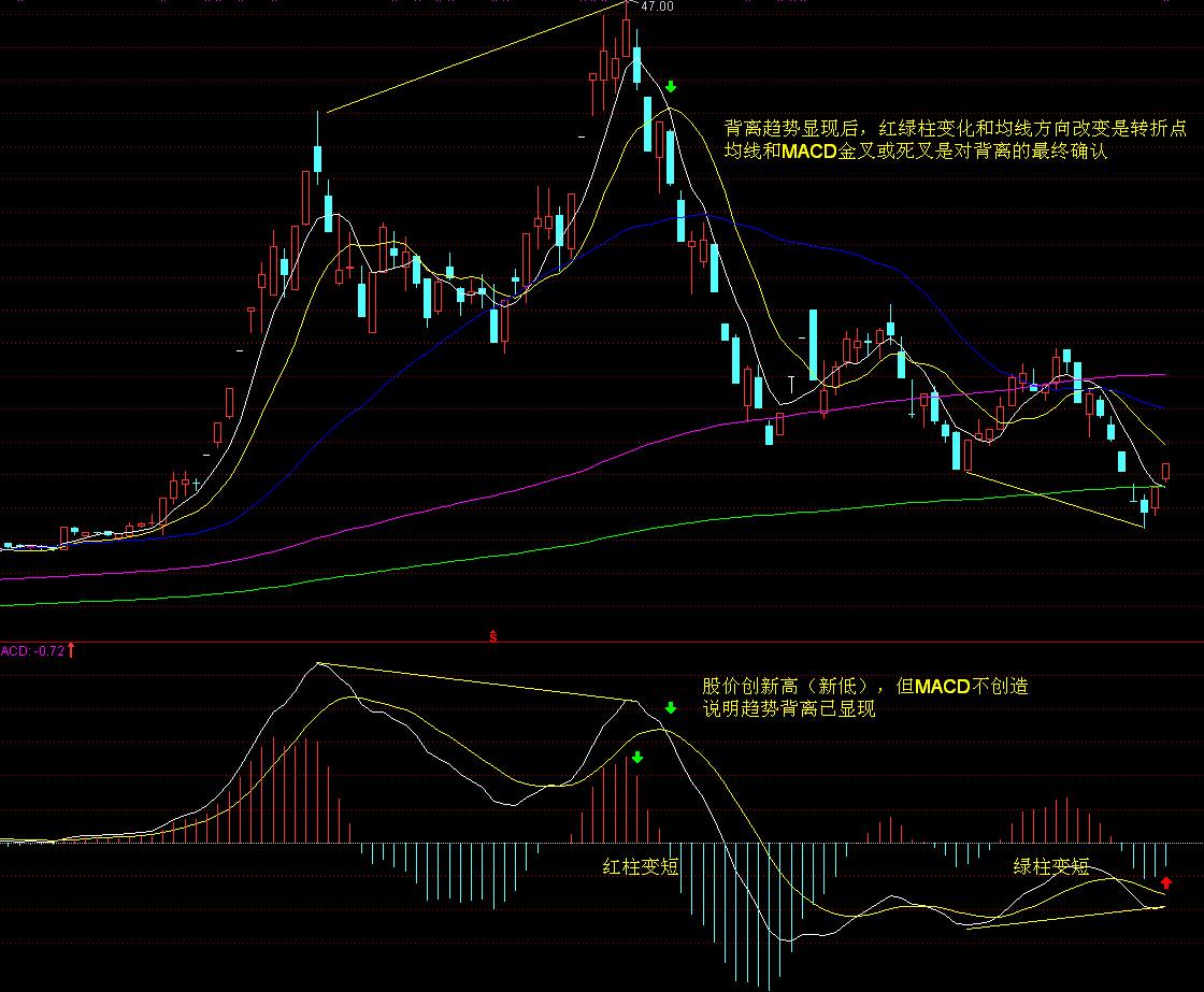 常抓不懈勇担当 攥指成拳保民生