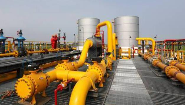 合肥城市管理学校:个性化教学助力大批学子喜获本科录取